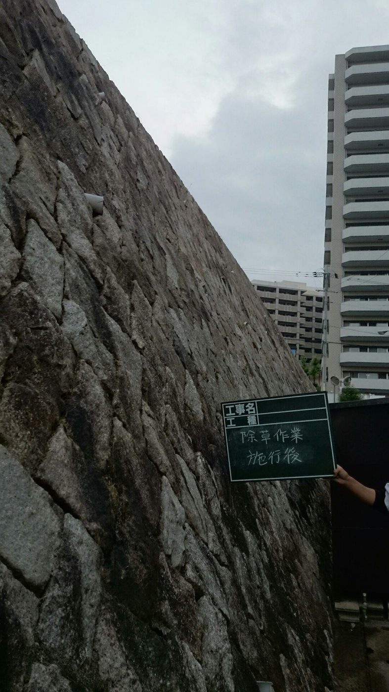 除草作業 施工後