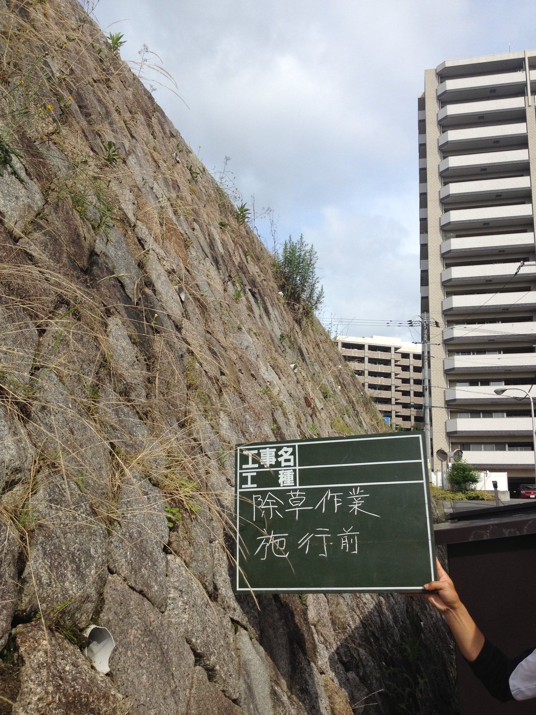 除草作業 施工前